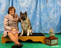 Dogshow 2024-06-29 NEINEA 2024 Win Photos--110900-2