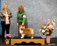 Dogshow 2025-04-05 2025 Interlocking SSC of Monee Win Photos --090045