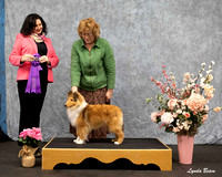 #103 Winners Dog S1 — Applecross Dress Code