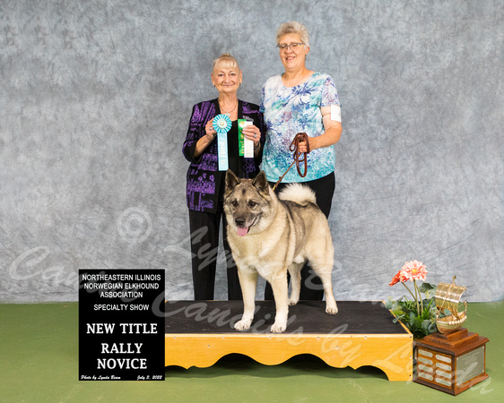 Dogshow 2022-07-03 NEINEA Win Photos --093141