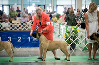 Dogshow 2016-06-18 Grayslake--111410-2