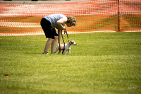 Dogshow 2016-06-11 Oak Creek CAT--105110