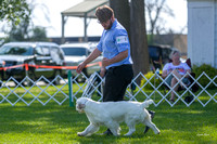 Dogshow 2018-07-30 Burlington WI (Mon)--162150-2