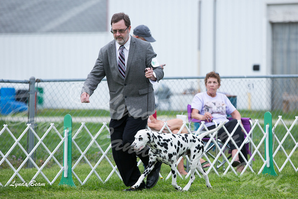 Dogshow 2015-04-18 Terre Haute--143908-4