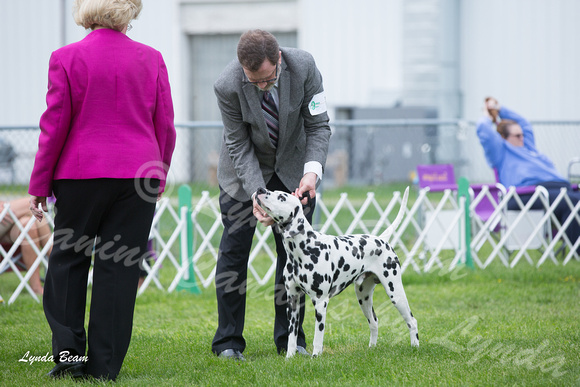 Dogshow 2015-04-18 Terre Haute--144030