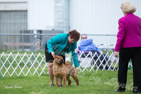 Dogshow 2015-04-18 Terre Haute--144213
