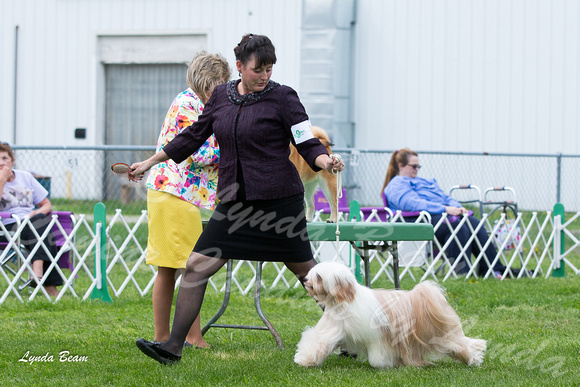 Dogshow 2015-04-18 Terre Haute--144521-2