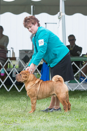 Dogshow 2015-04-18 Terre Haute--145231