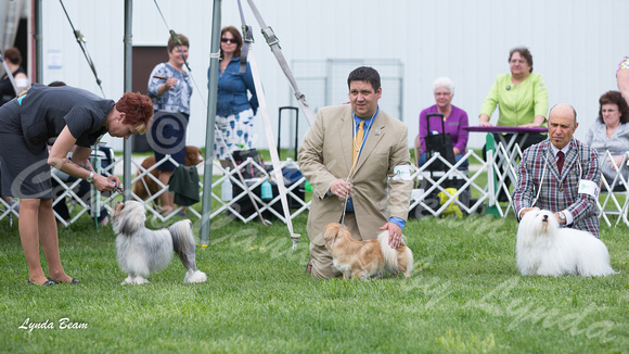 Dogshow 2015-04-18 Terre Haute--145246