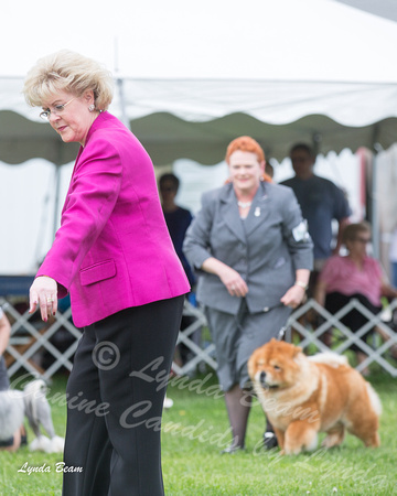 Dogshow 2015-04-18 Terre Haute--145345-2