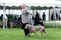 Dogshow 2015-04-18 Terre Haute--151731-2