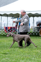 Dogshow 2015-04-18 Terre Haute--151733-2