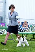 20150418 Best Owner-Handled Dog in Show