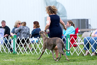 Dogshow 2015-04-18 Terre Haute--152730-2