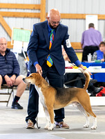 Dogshow 2022-08-14 Greater Racine KC--144154-3