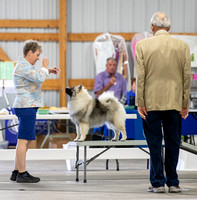 Dogshow 2022-08-14 Greater Racine KC--103524