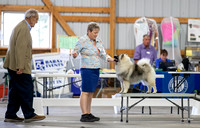 Dogshow 2022-08-14 Greater Racine KC--103530