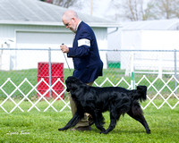 Dogshow 2015-04-18 Terre Haute--100008