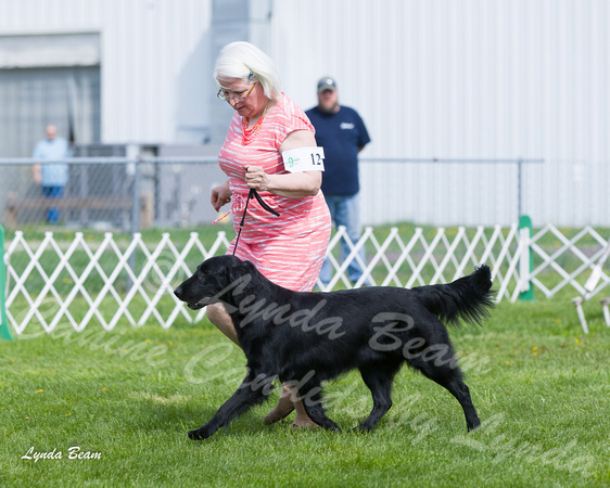 Dogshow 2015-04-18 Terre Haute--100317-3
