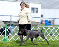 Dogshow 2015-04-18 Terre Haute--100701