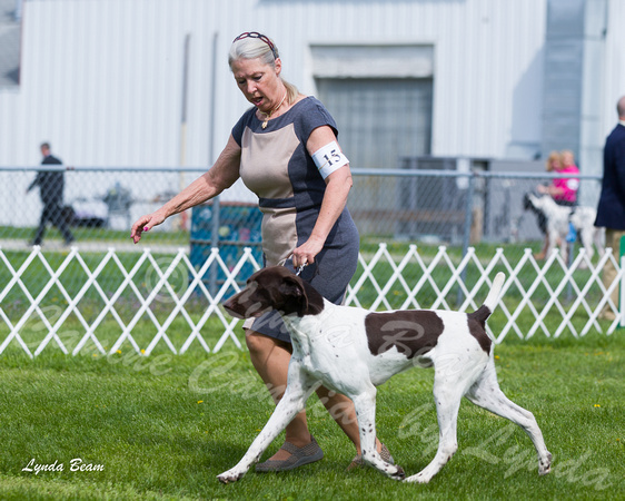 Dogshow 2015-04-18 Terre Haute--100940-2