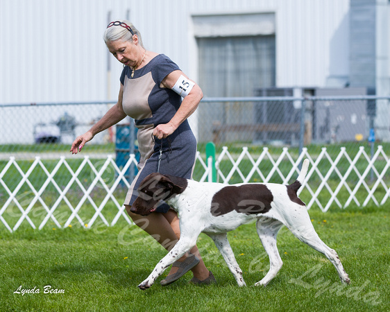 Dogshow 2015-04-18 Terre Haute--101127-3