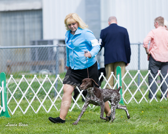 Dogshow 2015-04-18 Terre Haute--101527-2