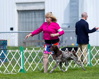 Dogshow 2015-04-18 Terre Haute--101802-2