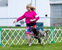 Dogshow 2015-04-18 Terre Haute--101803