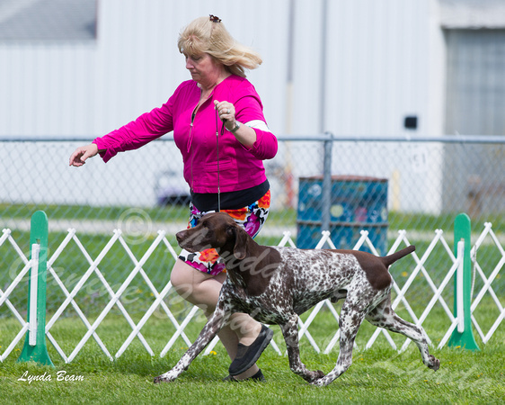 Dogshow 2015-04-18 Terre Haute--101814