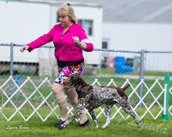Dogshow 2015-04-18 Terre Haute--101814-3