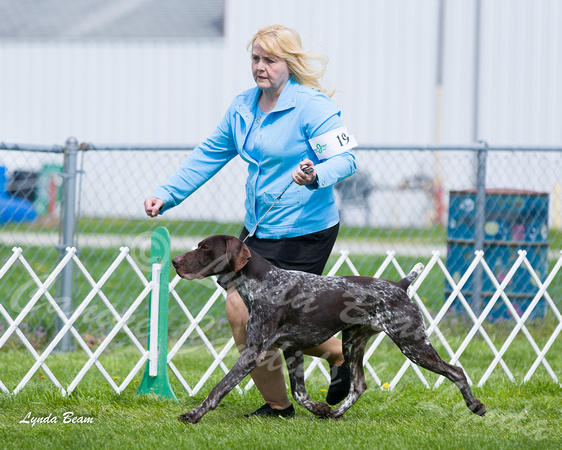 Dogshow 2015-04-18 Terre Haute--101816