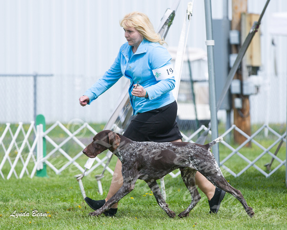 Dogshow 2015-04-18 Terre Haute--102059