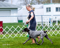 Dogshow 2015-04-18 Terre Haute--102201-2