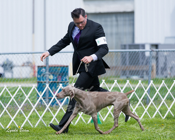 Dogshow 2015-04-18 Terre Haute--102742