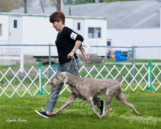 Dogshow 2015-04-18 Terre Haute--103308