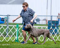Dogshow 2015-04-18 Terre Haute--103554-2