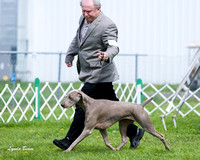 Dogshow 2015-04-18 Terre Haute--103649-2