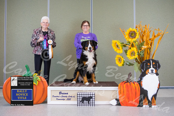 Dogshow 2022-10-29 BMDCNI Day 1 Win Photos--100157
