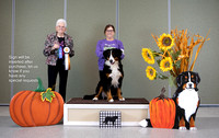 Dogshow 2022-10-29 BMDCNI Day 1 Win Photos--100204-2
