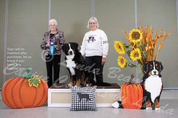 Dogshow 2022-10-29 BMDCNI Day 1 Win Photos--085001-2