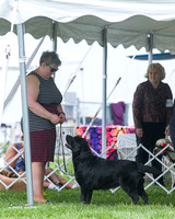 Dogshow 2015-04-18 Terre Haute--125709