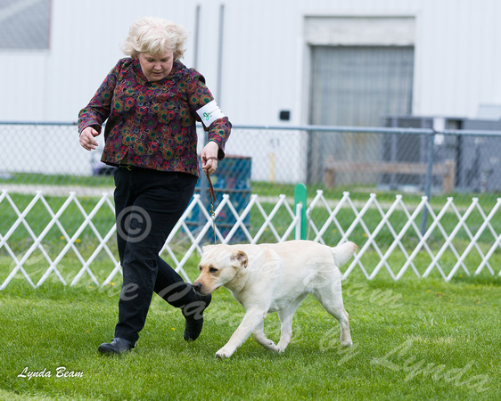 Dogshow 2015-04-18 Terre Haute--130554