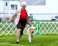 Dogshow 2015-04-18 Terre Haute--130703-2