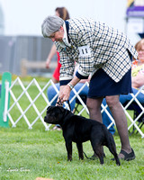 Dogshow 2015-04-18 Terre Haute--125953