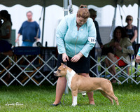 Dogshow 2015-04-18 Terre Haute--130028