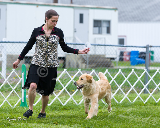 Dogshow 2015-04-18 Terre Haute--132702