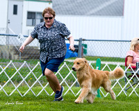 Dogshow 2015-04-18 Terre Haute--133102-2