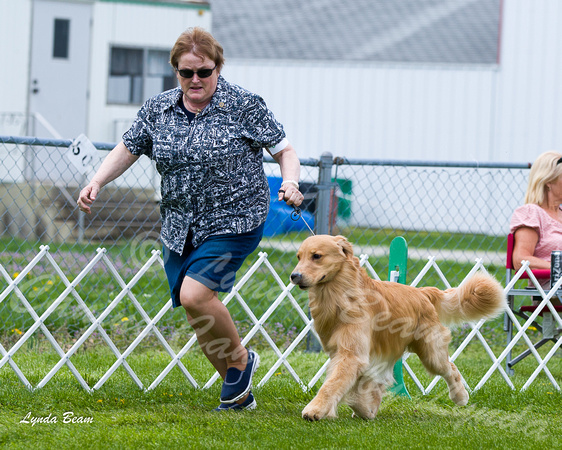 Dogshow 2015-04-18 Terre Haute--133102-2