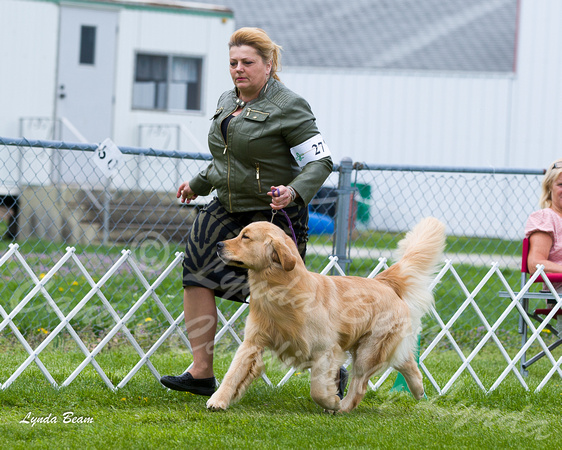 Dogshow 2015-04-18 Terre Haute--133104